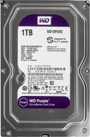 WD10PURZ