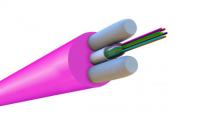 FO-STFR-IN-504